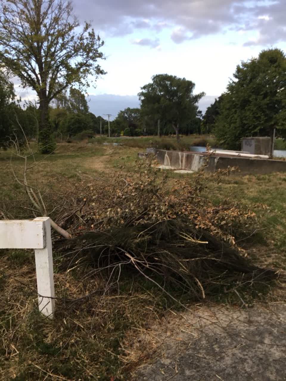 The photograph attached to this rubbish/recycling report