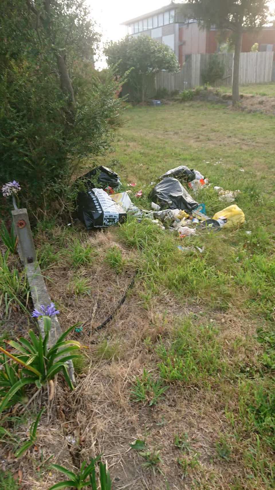 The photograph attached to this rubbish/recycling report