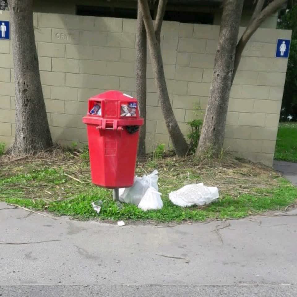 The photograph attached to this rubbish/recycling report