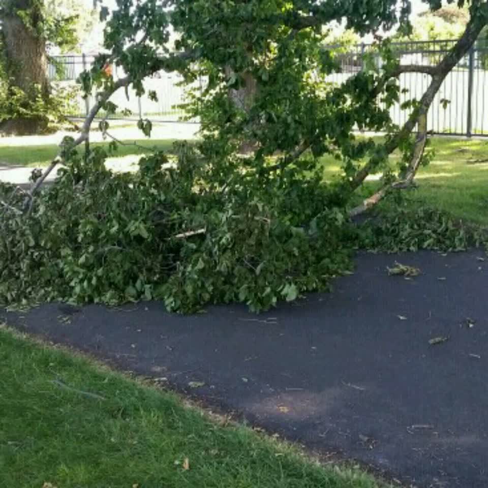 The photograph attached to this parks report