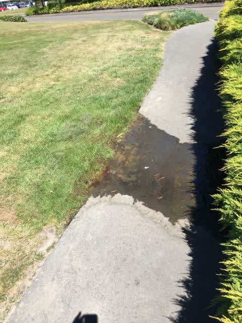 Water Supply, a report photo