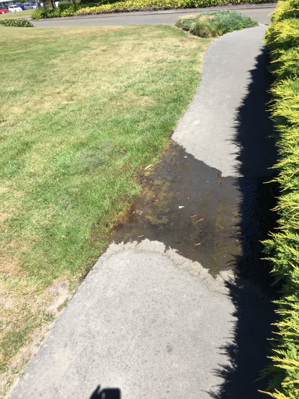 The photograph attached to this water supply report