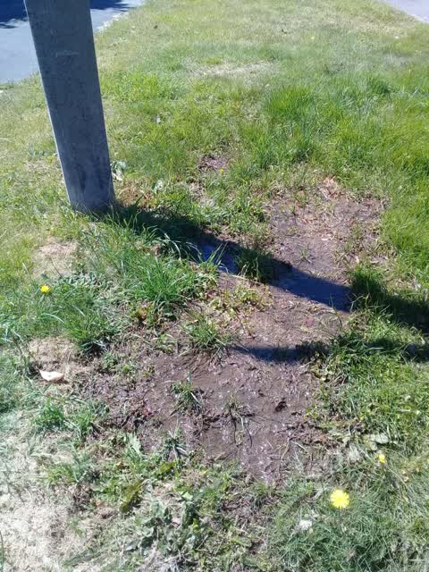 Flooding, a report photo