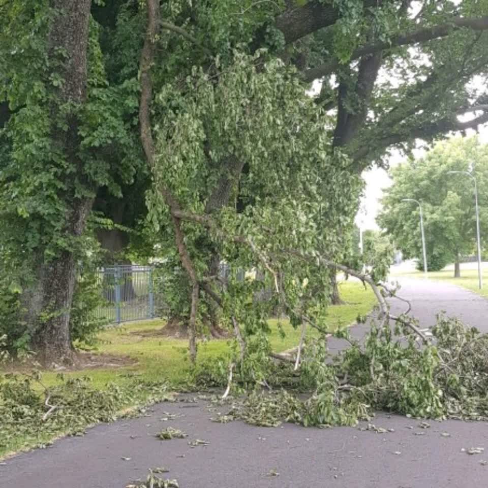 The photograph attached to this parks report