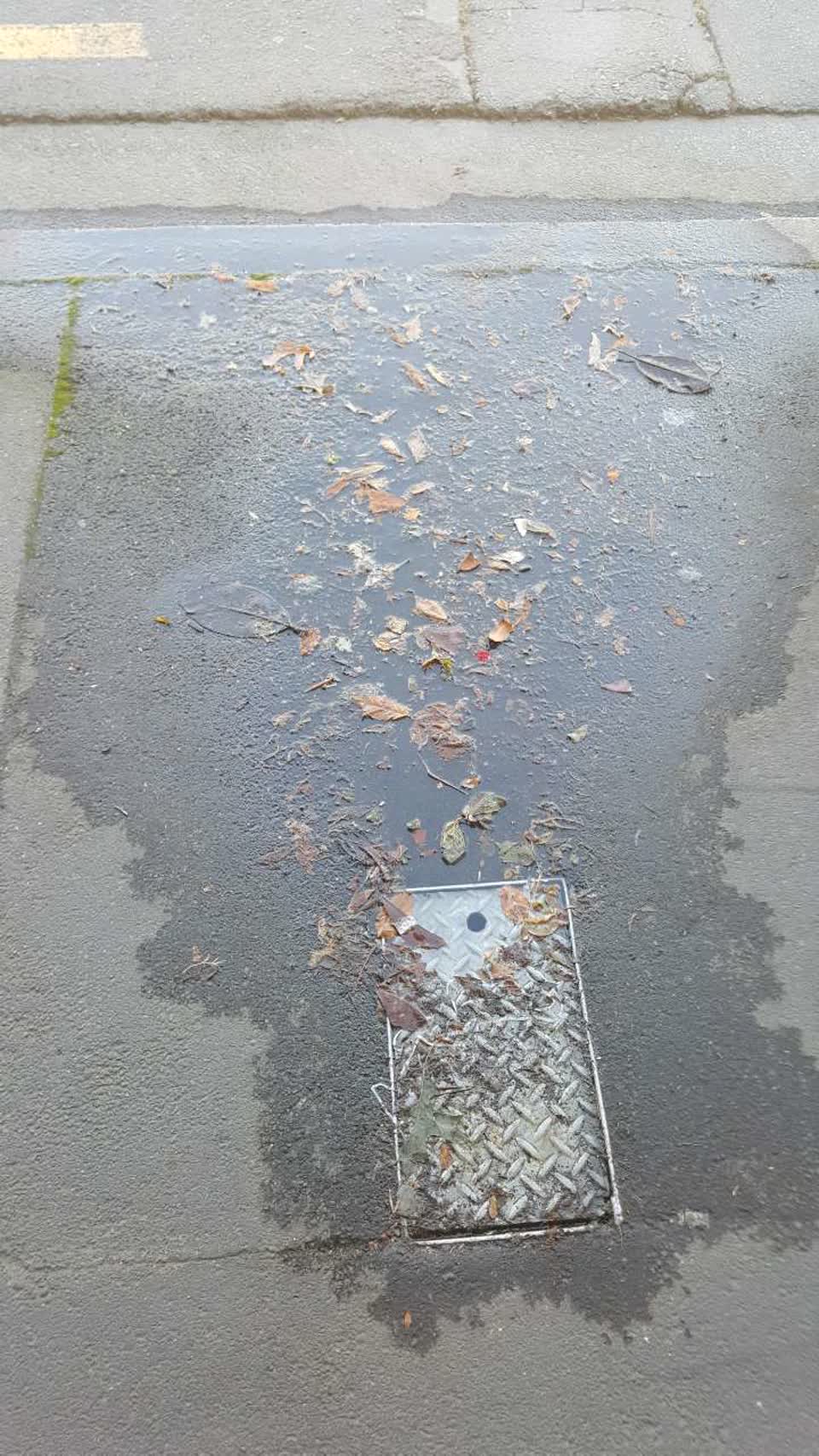 The photograph attached to this water supply report
