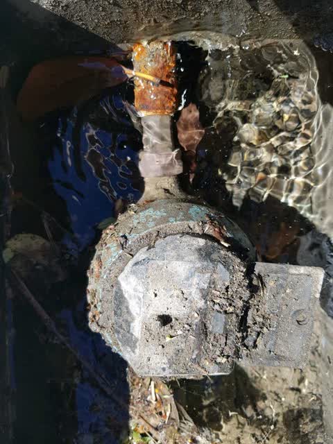 Water Supply, a report photo