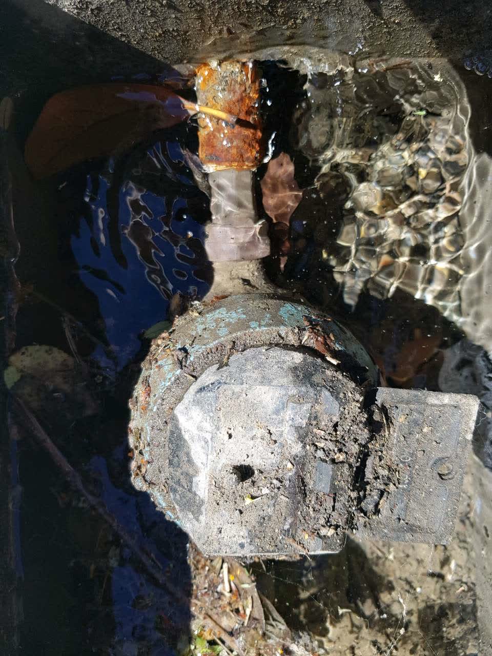 The photograph attached to this water supply report