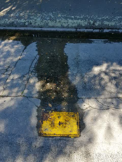 Water Supply, a report photo