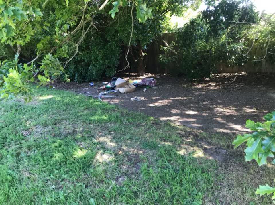 The photograph attached to this parks report