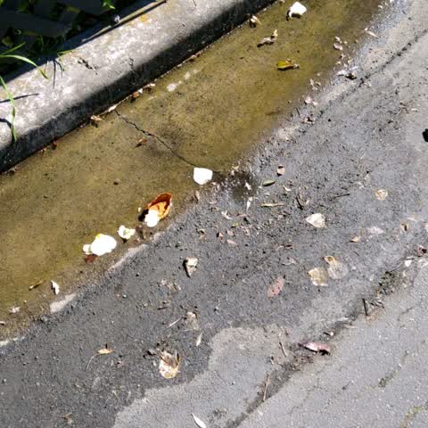 Water Supply, a report photo