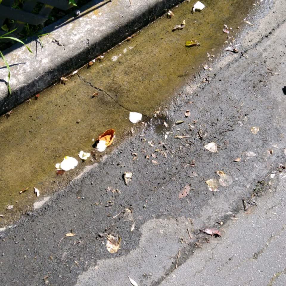 The photograph attached to this water supply report