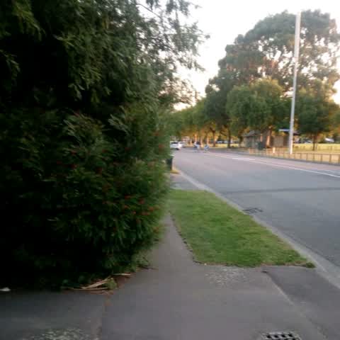 Roading/Streets, a report photo