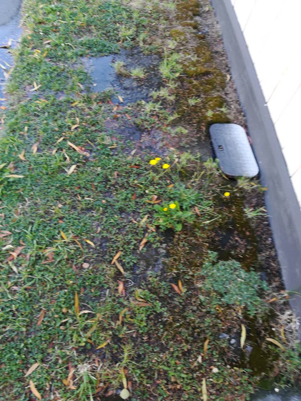 The photograph attached to this water supply report