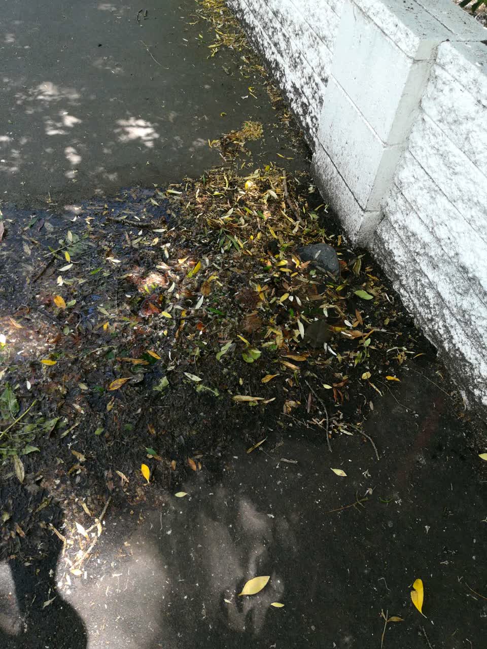 The photograph attached to this water supply report