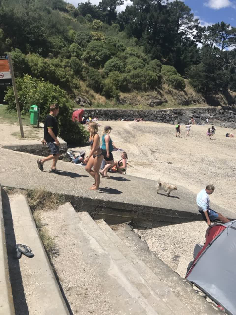 The photograph attached to this parks report