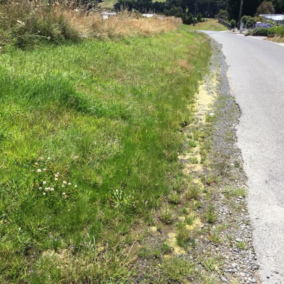 The photograph attached to this water supply report