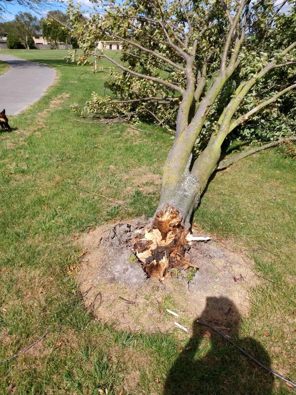 The photograph attached to this parks report