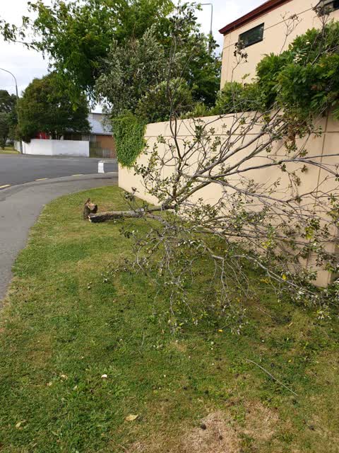 Rubbish/Recycling, a report photo