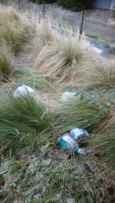 Rubbish/Recycling — a report photo
