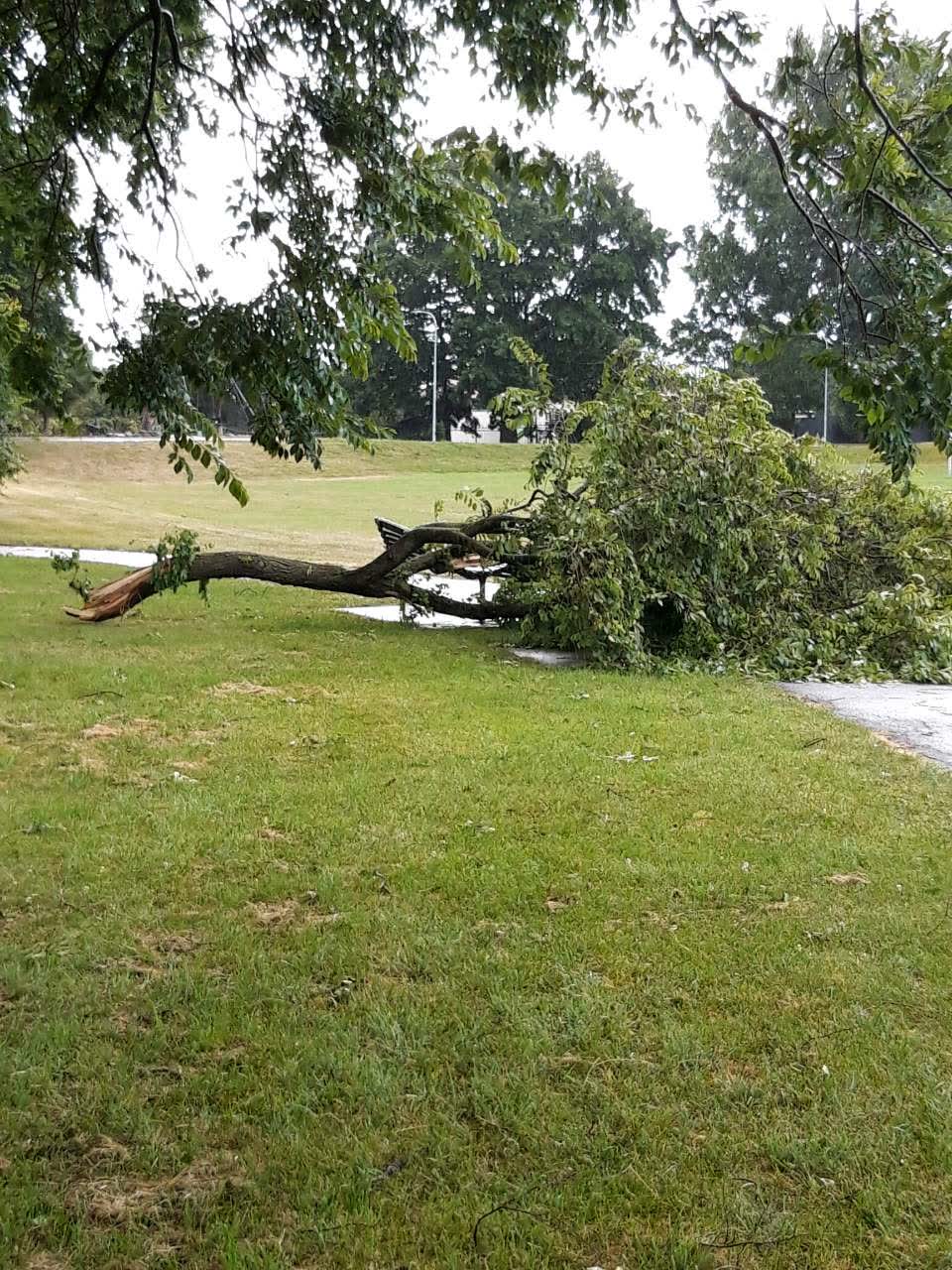 The photograph attached to this parks report