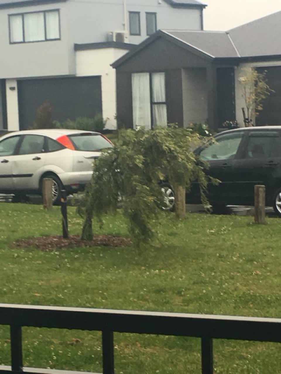The photograph attached to this parks report