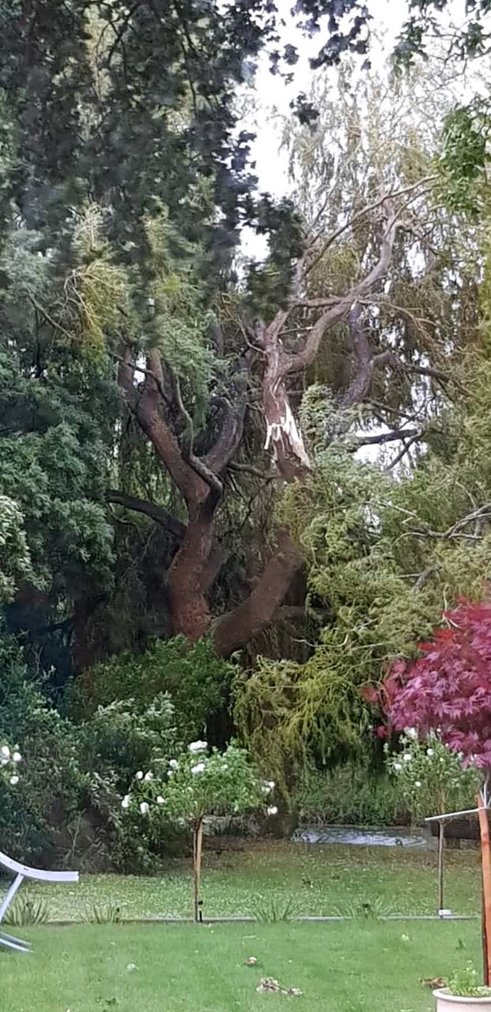 The photograph attached to this parks report