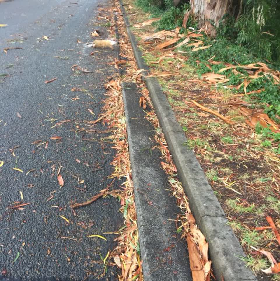 The photograph attached to this roading/streets report