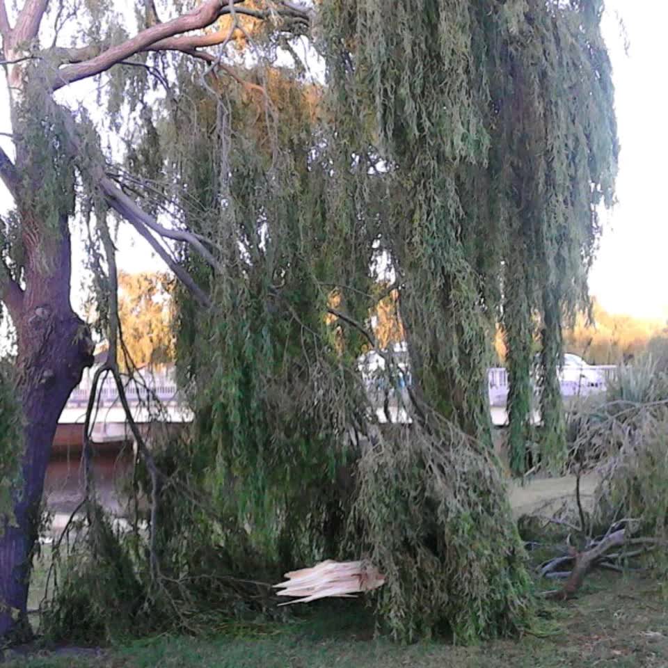 The photograph attached to this parks report