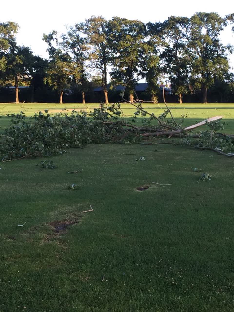 The photograph attached to this parks report