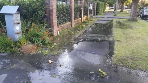 Water Supply, a report photo
