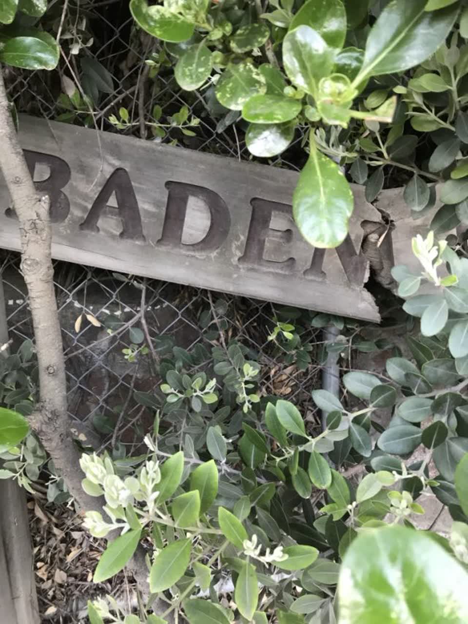 The photograph attached to this parks report