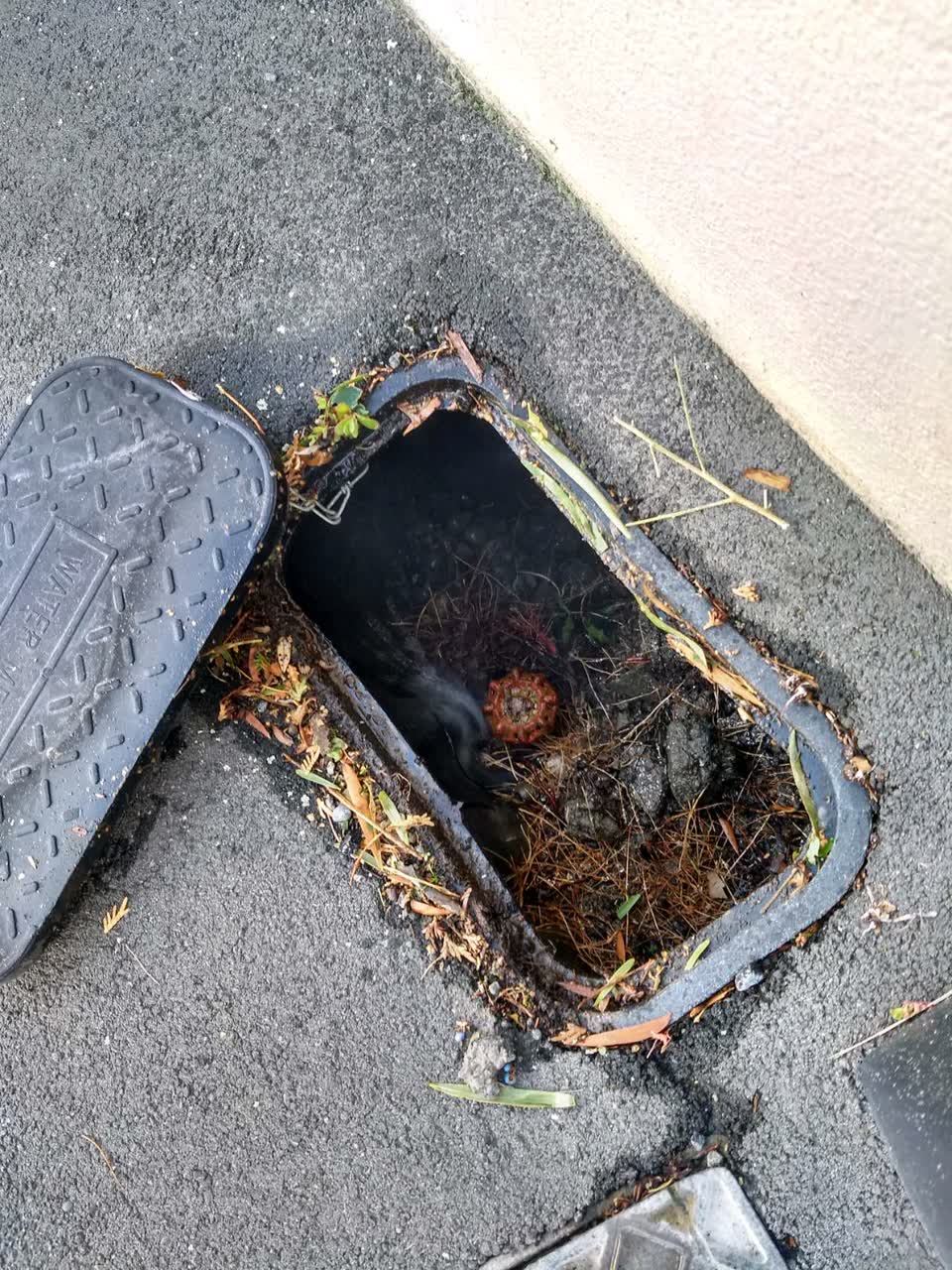 The photograph attached to this water supply report