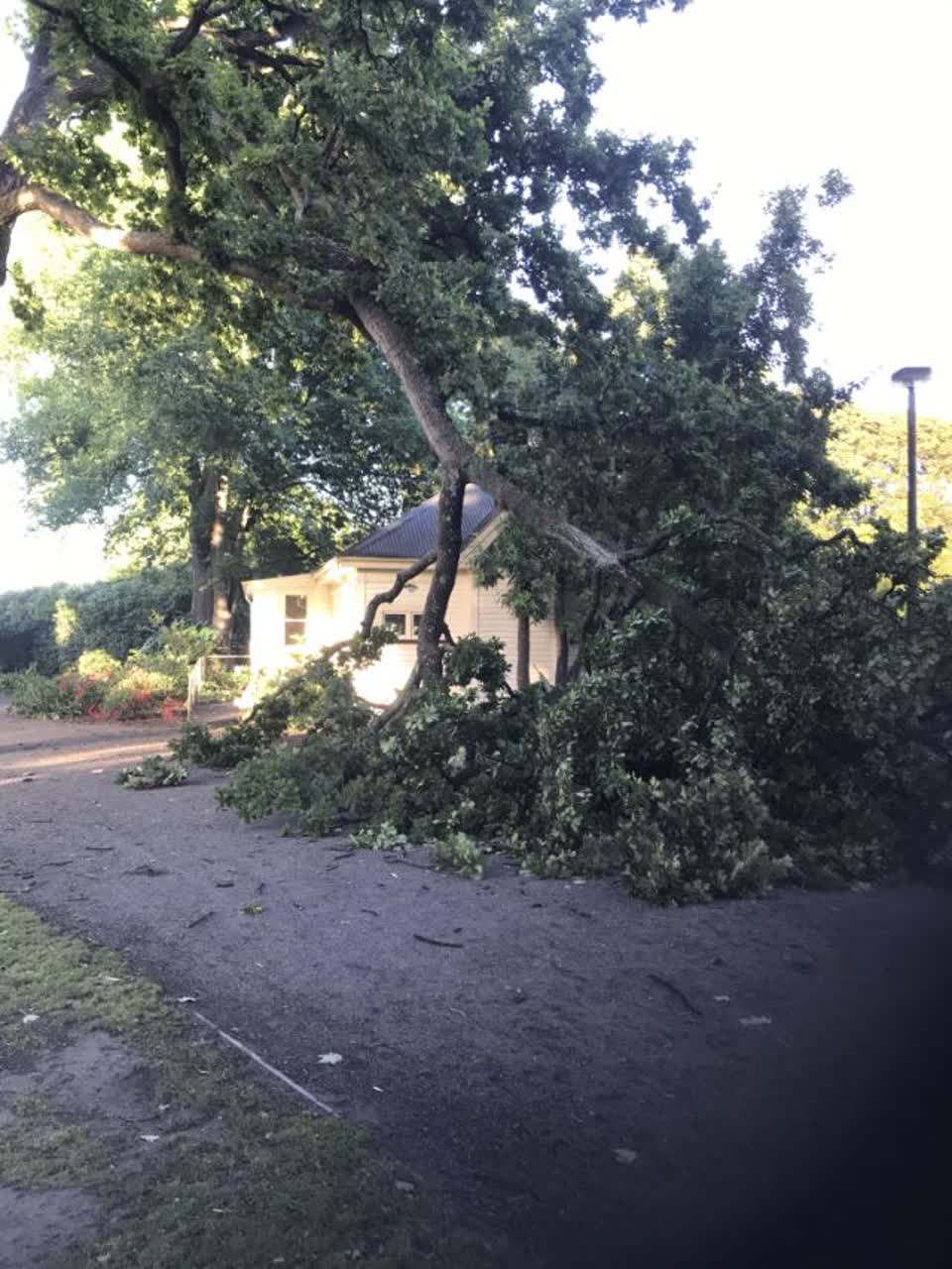 The photograph attached to this parks report