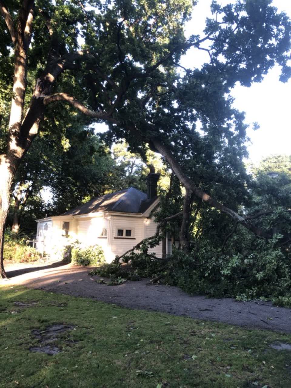 The photograph attached to this parks report
