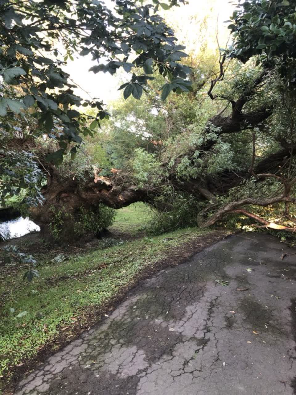 The photograph attached to this parks report