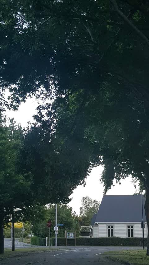 Roading/Streets, a report photo