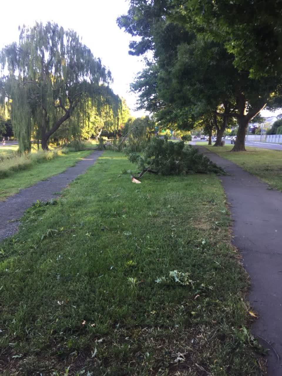 The photograph attached to this parks report