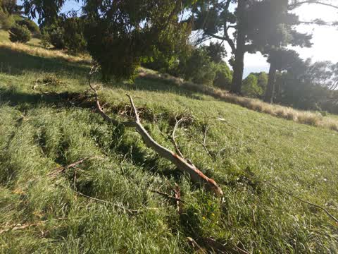 Parks, a report photo