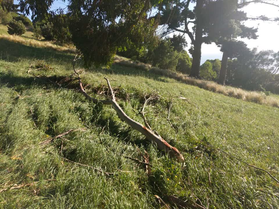 The photograph attached to this parks report