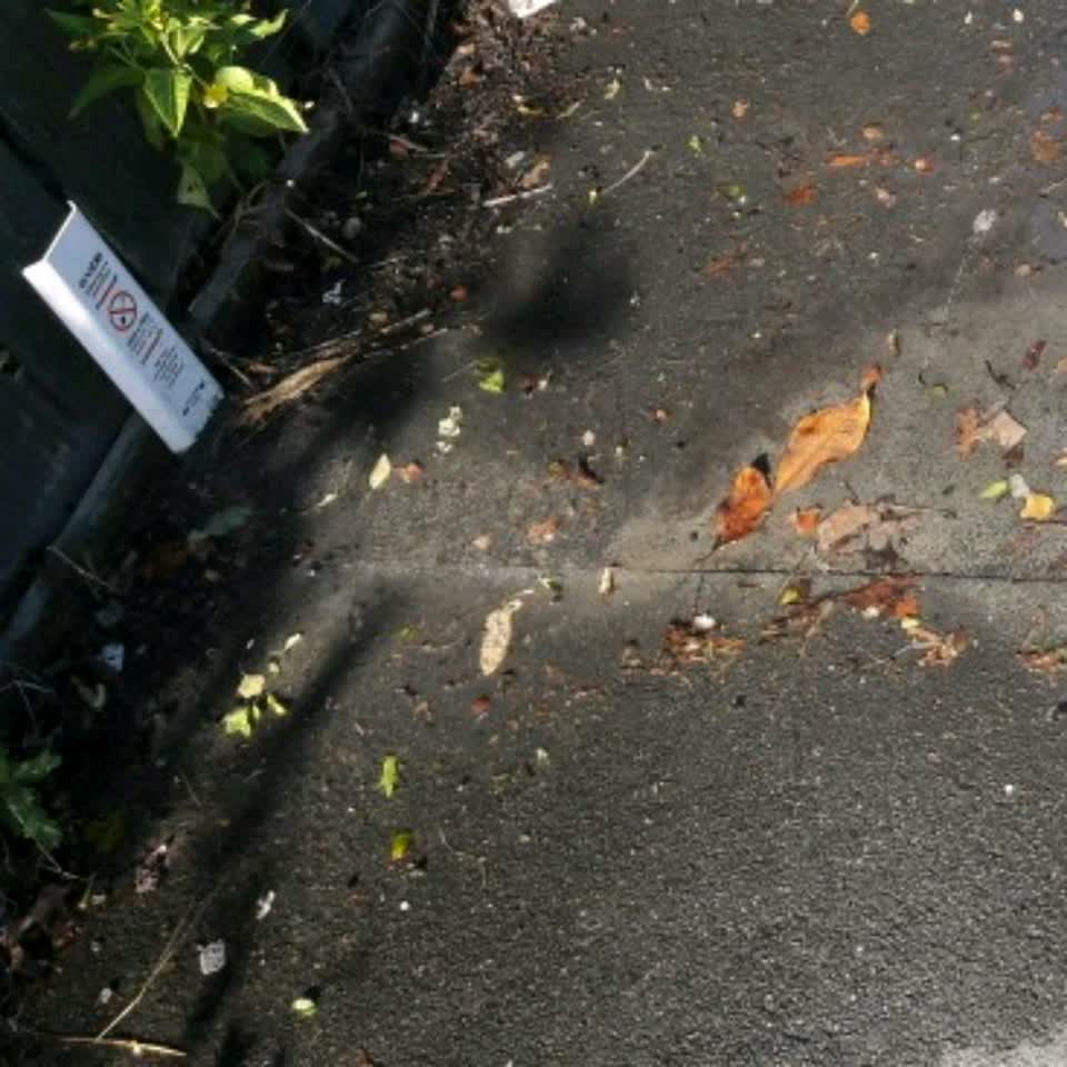 The photograph attached to this water supply report