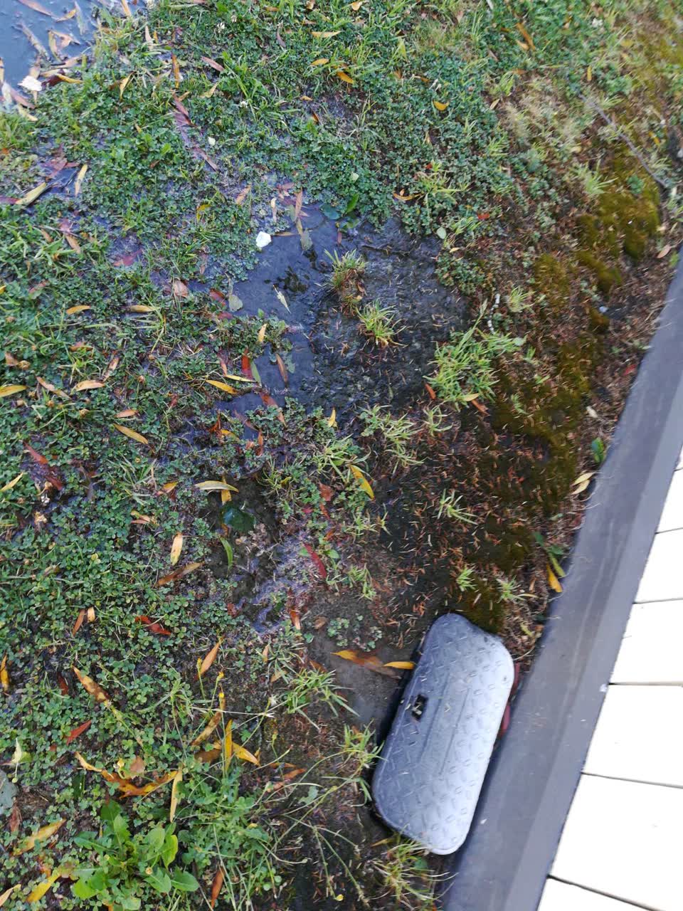 The photograph attached to this water supply report
