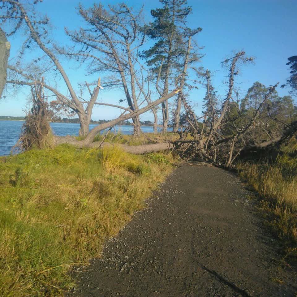 The photograph attached to this parks report