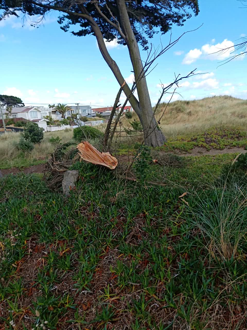 The photograph attached to this parks report