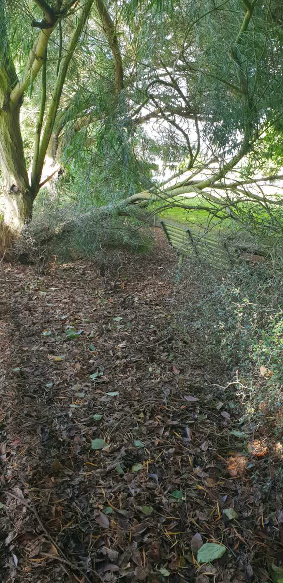 The photograph attached to this parks report
