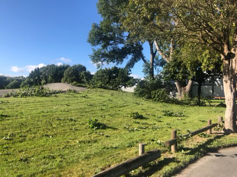 The photograph attached to this parks report