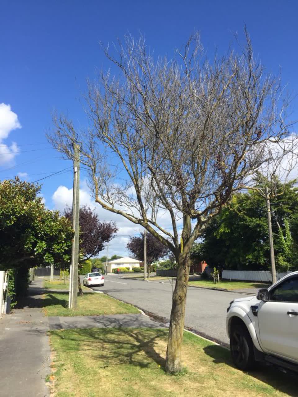 The photograph attached to this roading/streets report