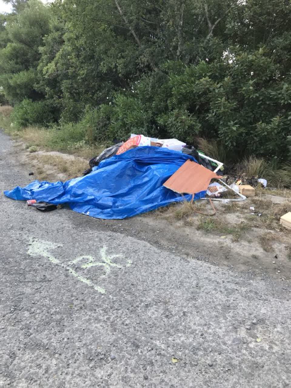 The photograph attached to this rubbish/recycling report