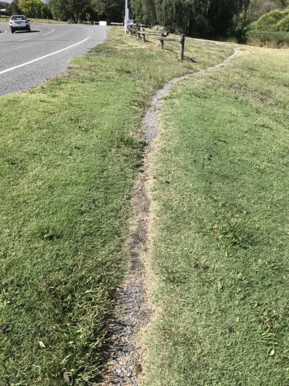 The photograph attached to this parks report