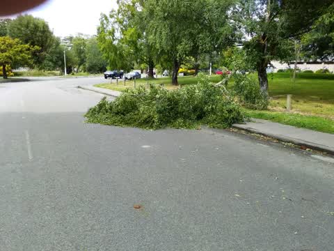 Parks, a report photo