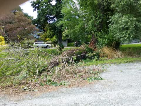 Parks, a report photo